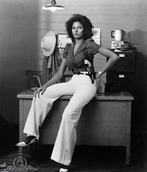 Pam Grier  in 1970’s  Body Measurements 2020