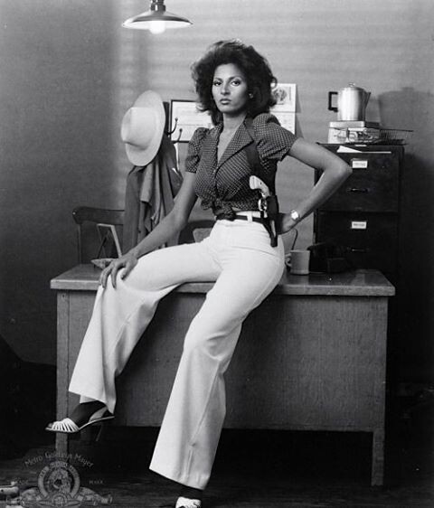 Pam Grier  in 1970’s